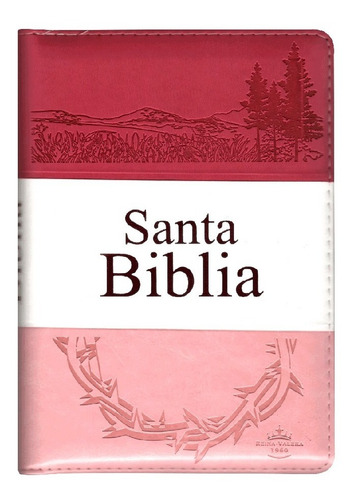 Biblia Letra Grande Rosa Cierre E Indice Reina Valera 1960