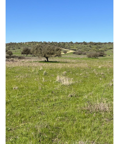 Excelente!! Parcelas De 5.000 M2 Con Rol Propio En "lom