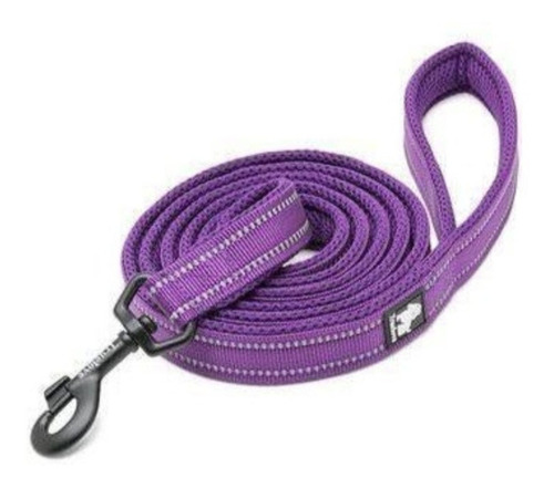 Correa Nylon Malla Reflectante Fijo Perros 2 Mts Morado