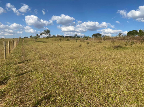Imagem 14 de 14 de Chácara Em Vianopolis Goiás