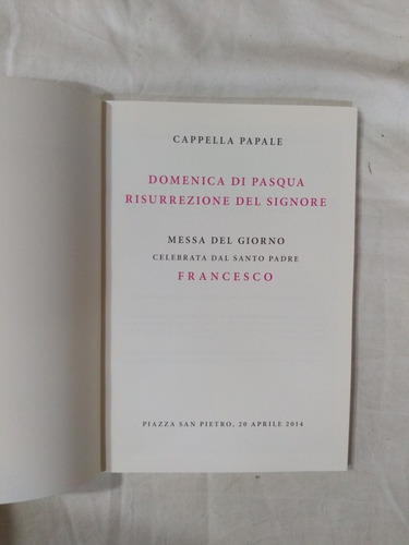 Domenica Di Pasqua Messa Del Giorno - Papa Francisco (Usado)