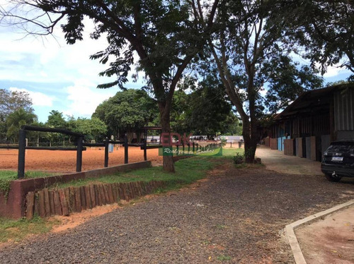 Imagem 16 de 24 de Chácara Com 2 Dormitórios À Venda, 4000 M² Por R$ 1.000.000 - Chácara Flora Araraquara - Araraquara/sp - Ch0634