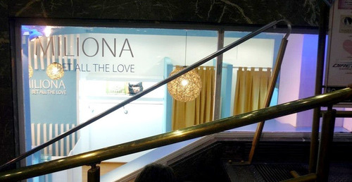 Local En Flores Galeria San Jose Zona Comercial