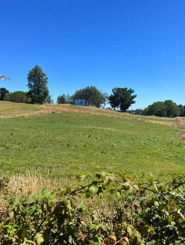 Vendo Parcela De Agrado En Sector Vivanco, Lago Ranco