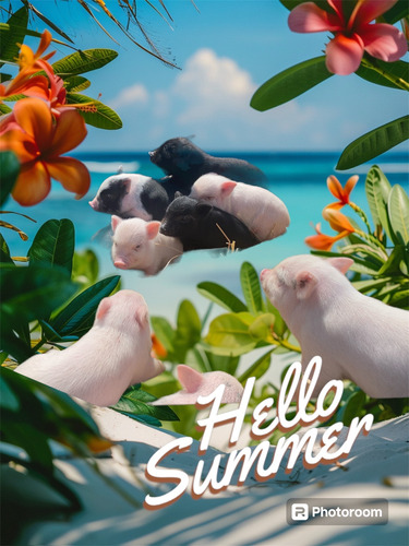 Cerditos Minipig Nano