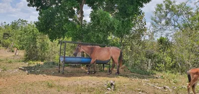 Rancho en venta