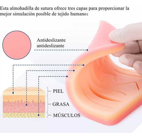 Kit De Práctica De Suturas Modelos Anatómicos Para Estudiant