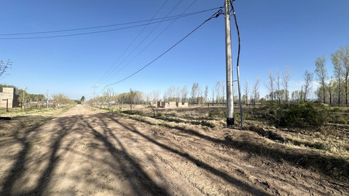 Terreno De 2.500 M2 En Cuadro Benegas - Calle Las Palmas