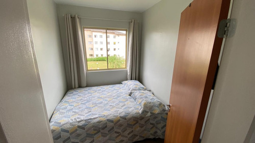 Apartamento 3 Quartos, São José Dos Pinhais