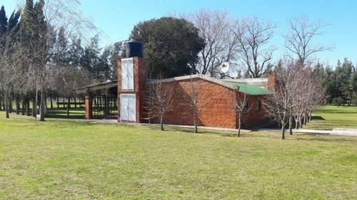 Campo | San Pedro