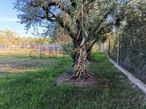 Venta De Lote En Barrio Privado - Casas De Campo Ii- Maipú