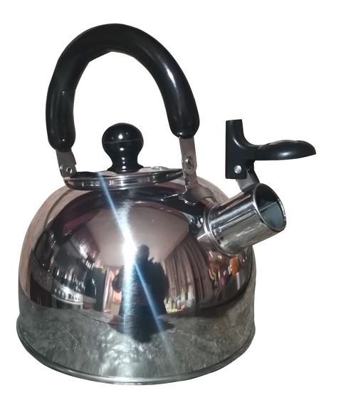 1500ML Sorpresa de Verano Tetera Tetera Estufa Whistling Tea Pot Tetera de acero inoxidable Té Café Hervidor de agua Contenedor con filtro de malla extraíble 