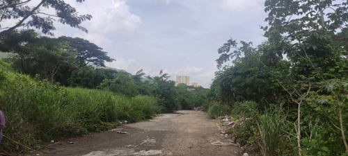 Imagen 8 de 14 de Terreno En Venta En Naguanagua