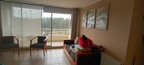 Arriendo Depto. Amoblado Algarrobo 2d 2b (98230)
