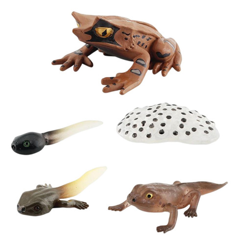 3 Figuritas De Animales Realistas Modelo De De Ranas Estilo