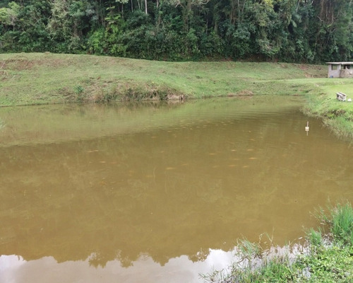 Imagem 7 de 30 de Fazenda Bem Localizada À Venda Em Juquitiba. - 15 - 32982853
