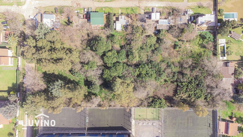Imagen 3 de 6 de Moreno | Terreno 5624m2