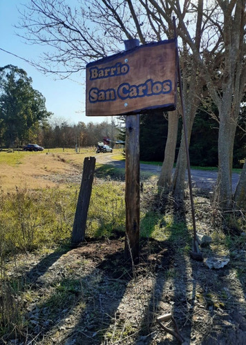 5 Terrenos En Urbanización San Carlos Norte Junín- Buenos Aires