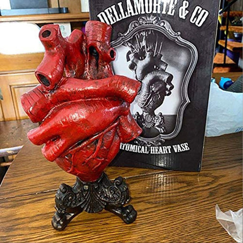 Y Florero Anatómico Creativo En Forma De Corazón, Maceta De
