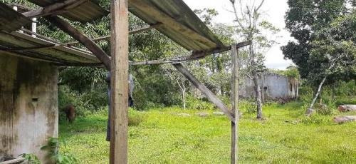Imagem 9 de 11 de Chácara No Bairro Bopiranga, Em Itanhaém 8368dh