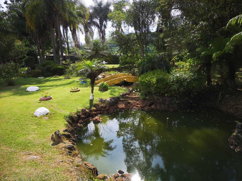 Imagem 7 de 14 de Belíssima Chácara Com Lago Em Ibiúna - Cód.227