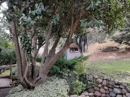 Imagen 10 de 13 de Susana Aravena Propiedades-excelente Casa En Venta En Rucahue