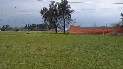 Venta - Lotes 300/400/500 M2 - Trujui, Moreno