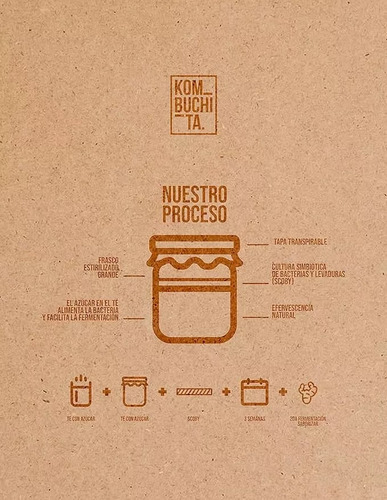 Te Kombucha Frutos Rojos Pack 18 Botella 240 Ml Kombuchita