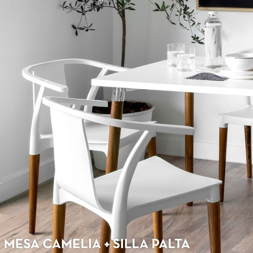 Imagen 3 de 8 de Silla De Comedor Diseño Palta Wood Colors