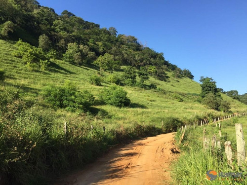 Sítio Com 4 Dormitórios À Venda, 532 M² - Rio Calçado - Guarapari/es - Si0043