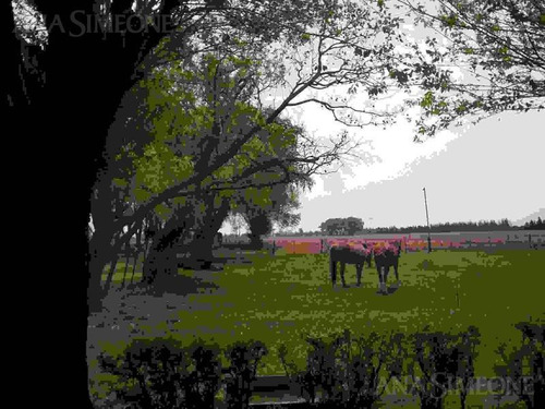Imagen 10 de 10 de Campo De 81 Ha En Excelente Ubicación Frente A Ruta