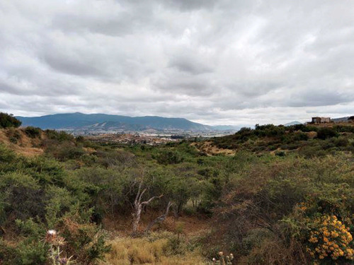 Parcela Agrícola Excelente Ubicación (85060)