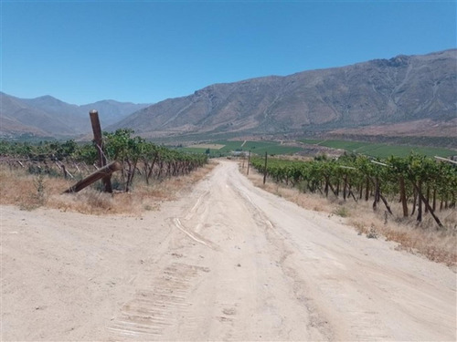 Imagen 9 de 20 de Predio Agua Amarilla, Monte Patria