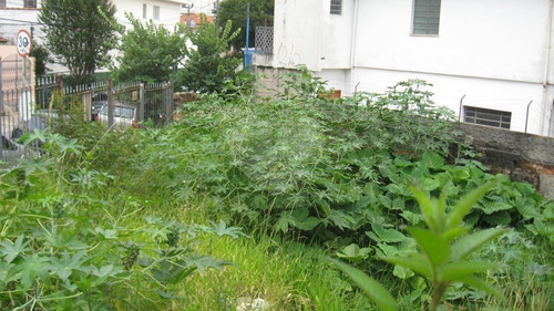 Imagem 1 de 17 de Terreno-são Paulo-jardim São Paulo(zona Norte) | Ref.: Reo172202 - Reo172202