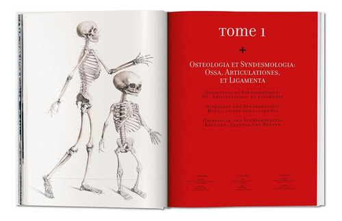 Atlas Of Human Anatomy And Surgery - Por J. M. Bourgery - Anatomia - Livro Importado Edição Grande - Inglês Francês - Editora Taschen - Capa Dura - 1a Edição