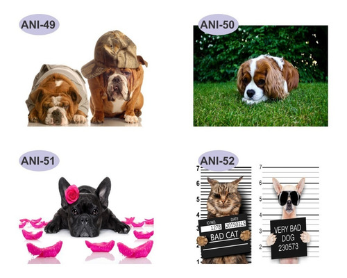 Imagem 6 de 10 de Papel Parede Adesivo Pet Cachorro Gato 2,30 Larg X 1,60 Alt