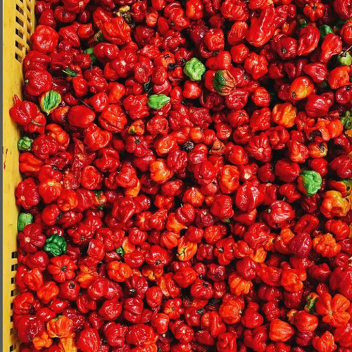 Salsa Picante De Chile Monoloco 148 Ml Con Ajo Y Limón