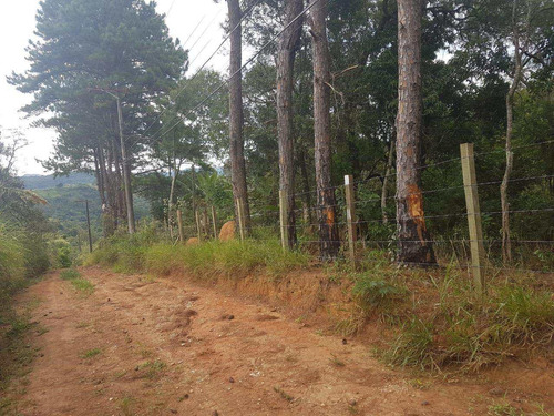 Imagem 9 de 14 de Terreno, Centro, Pirapora Do Bom Jesus - R$ 1.200.000,00, 430m² - Codigo: 234967 - V234967