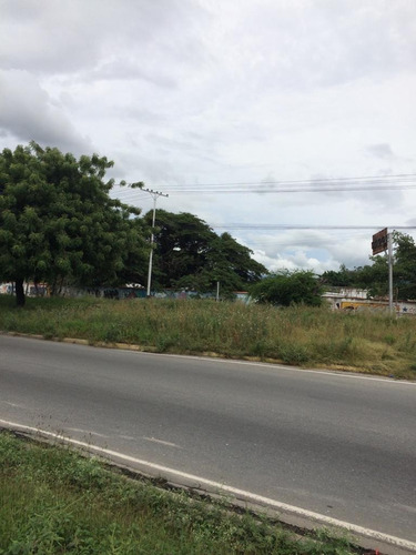 Imagen 6 de 8 de Terreno En Venta De 14.102m2 En La Encrucijada De Cagua