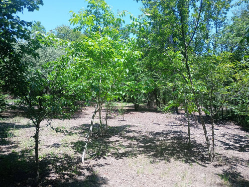 Terreno En San Javier Traslasierra.