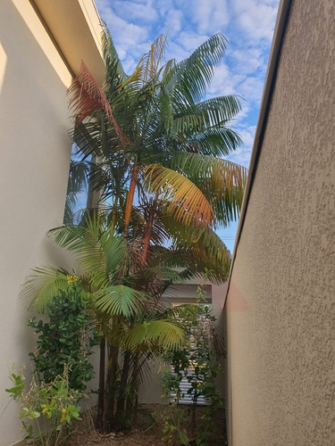 Imagem 7 de 30 de Excelente Casa Disponível Para Locação: Possui Três Dormitórios Sendo Uma Suite, Duas Salas (estar E Jantar), Três Banheiros E Quatro Vagas Na Garagem - Ca00395 - 71130969