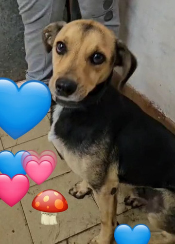 Minguito, Chico De Tamaño, 3 Añitos, Pura Alegría Y Amor. !!