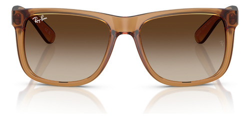 Óculos De Sol Ray Ban Justin Marrom Rb4165 681413-55