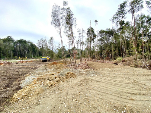Entorno Tranquilo Y Seguro I Condominio Foresta