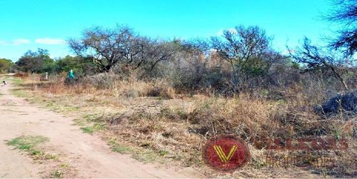 Imagen 2 de 7 de Terreno 1500 M2 Venta Doroteo Olmedo Y Luisa Alaniz 100, Los Molles