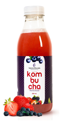 Kombucha Bebida Probiótica Detox Hidratante 500ml