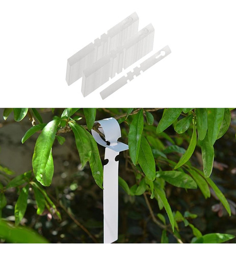 3 X 3x100 Etiquetas De Plástico Para Jardín, 3 Piezas