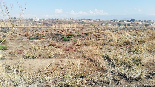 Imagen 6 de 6 de En Venta Amplio Terreno En Col. Los Cerritos En Atlatlahucan Morelos Sobre Carretera