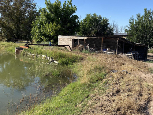 Exclusivo Viñedo De 20 Ha. En Cuadro Benegas