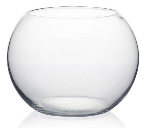 Florero De Vidrio Con Forma De Burbuja Transparente Wgv,